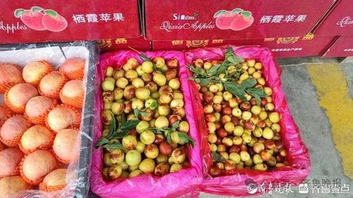 冬棗變“夏棗”？反季上市價高銷量漲，25元一斤仍受熱捧