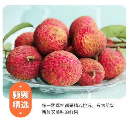 高州白糖罌荔枝 當季鮮果，滋味直達——5斤裝整箱批發(fā)品鑒